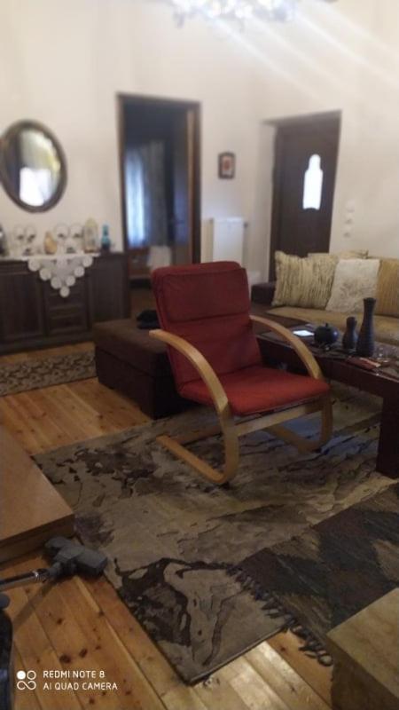 Elena'S Villa Chrysomiléa Dış mekan fotoğraf