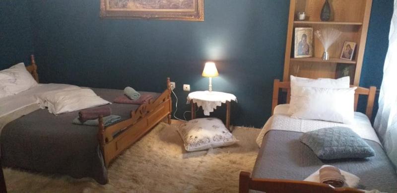 Elena'S Villa Chrysomiléa Dış mekan fotoğraf