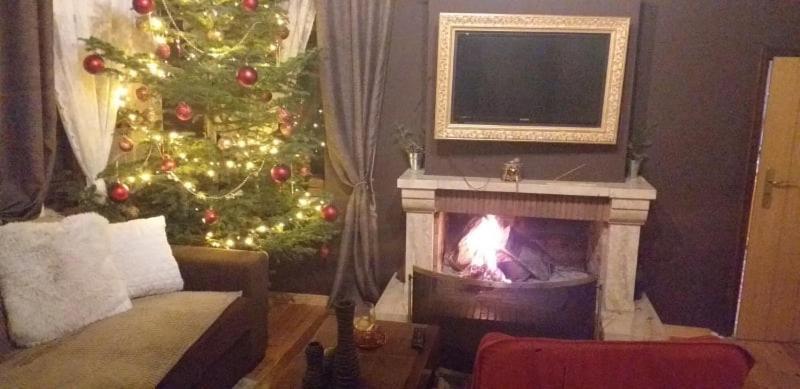 Elena'S Villa Chrysomiléa Dış mekan fotoğraf