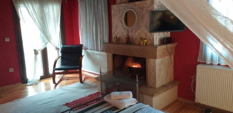 Elena'S Villa Chrysomiléa Dış mekan fotoğraf