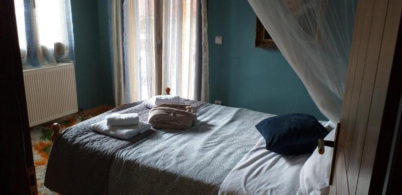 Elena'S Villa Chrysomiléa Dış mekan fotoğraf