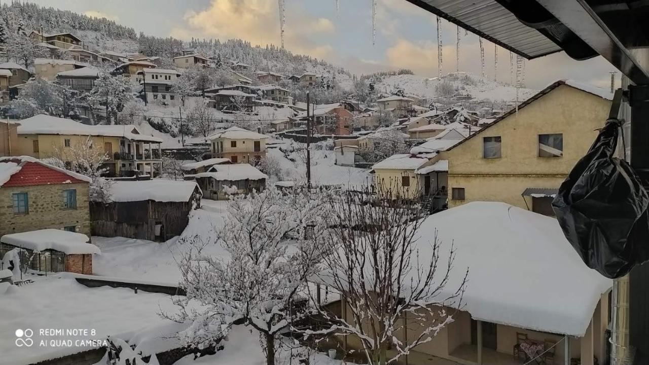 Elena'S Villa Chrysomiléa Dış mekan fotoğraf