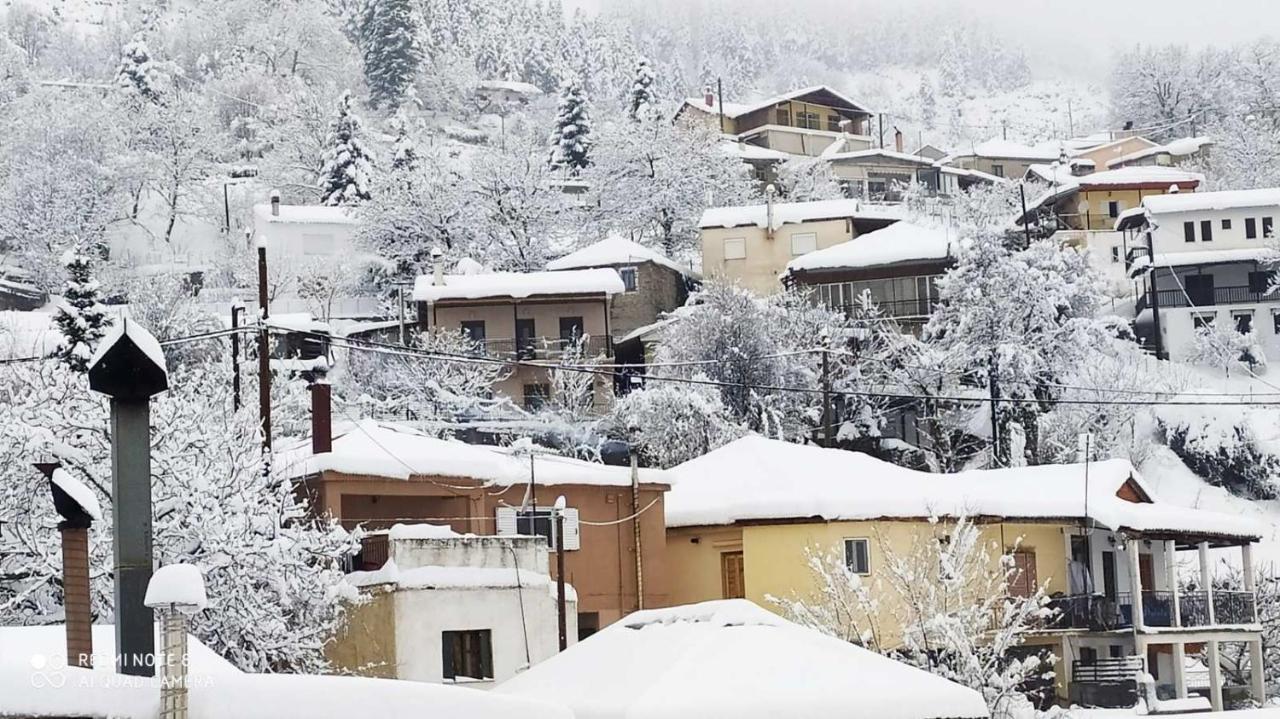 Elena'S Villa Chrysomiléa Dış mekan fotoğraf
