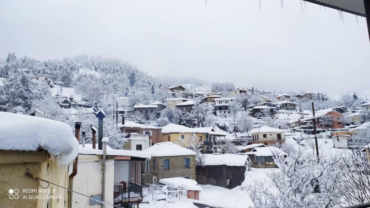 Elena'S Villa Chrysomiléa Dış mekan fotoğraf
