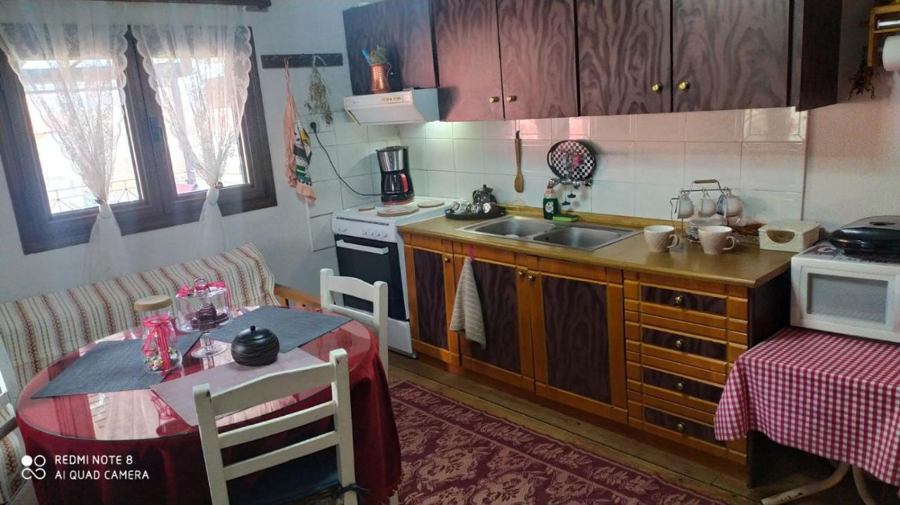 Elena'S Villa Chrysomiléa Dış mekan fotoğraf