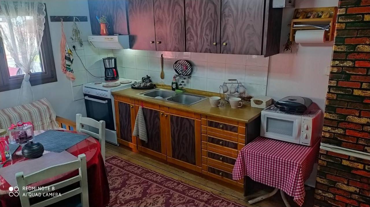 Elena'S Villa Chrysomiléa Dış mekan fotoğraf