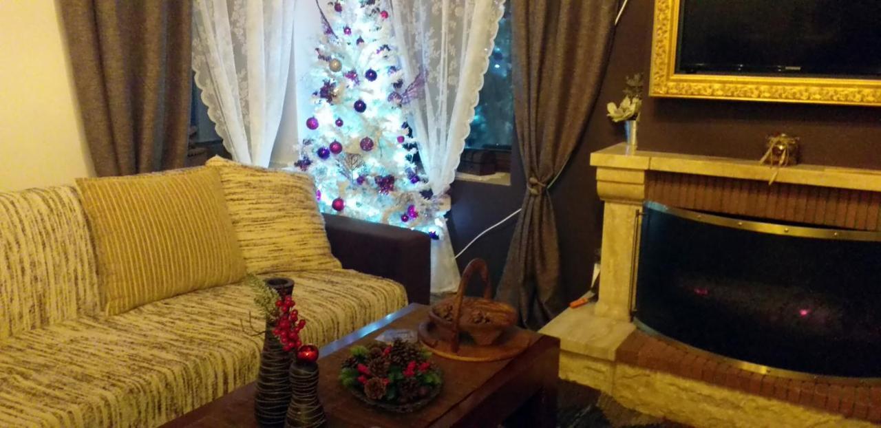 Elena'S Villa Chrysomiléa Dış mekan fotoğraf