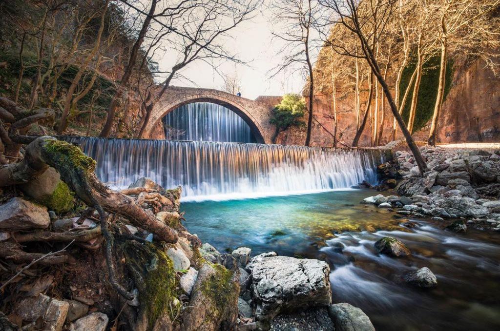 Elena'S Villa Chrysomiléa Dış mekan fotoğraf